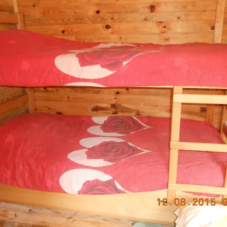 Transilvanija קופאוניק