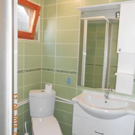 בית נופש Transilvanija קופאוניק